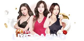 开云·体育（官网）APP下载-KAIYUN SPORTS